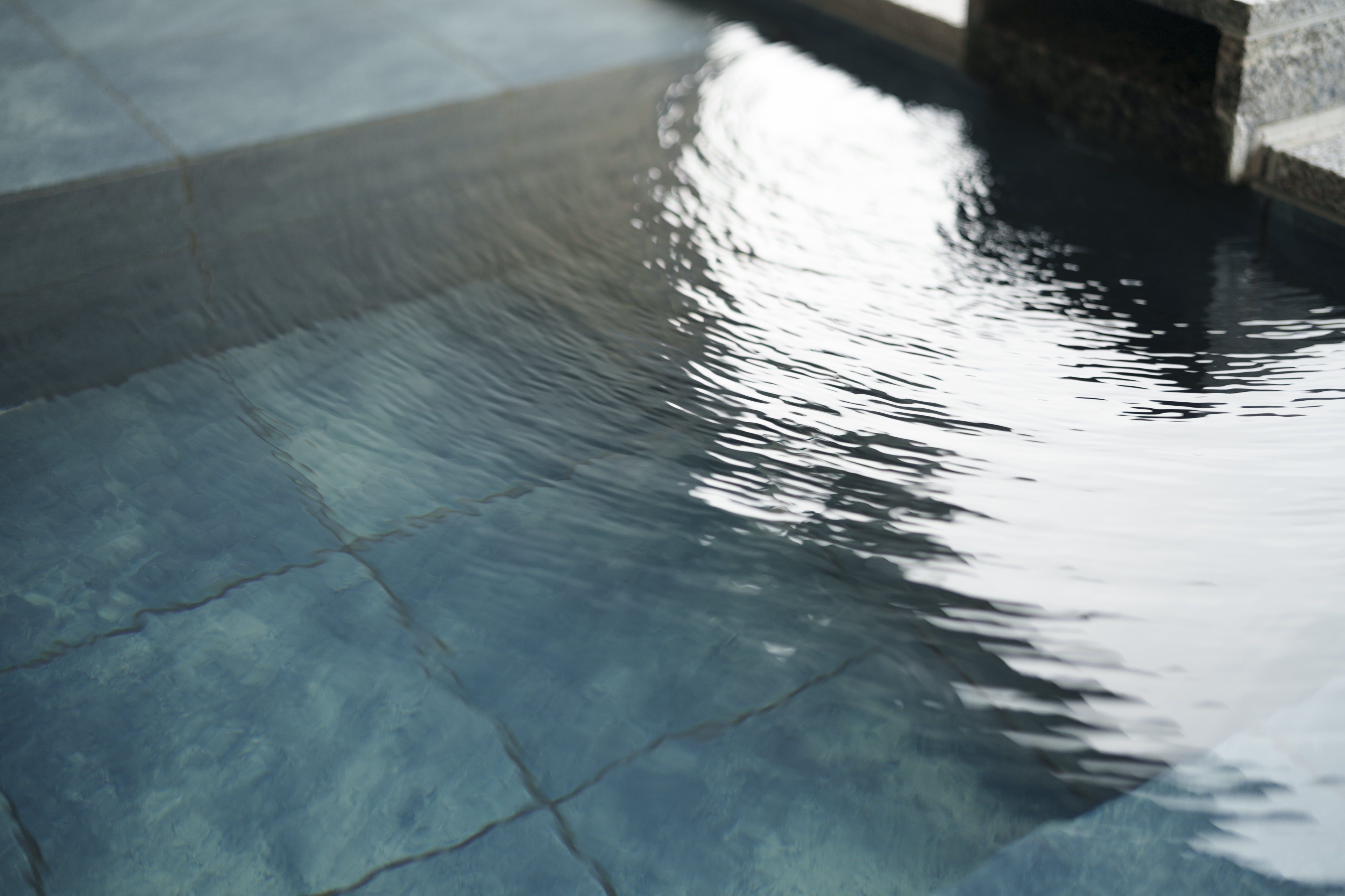 ドッグテラススイート内装