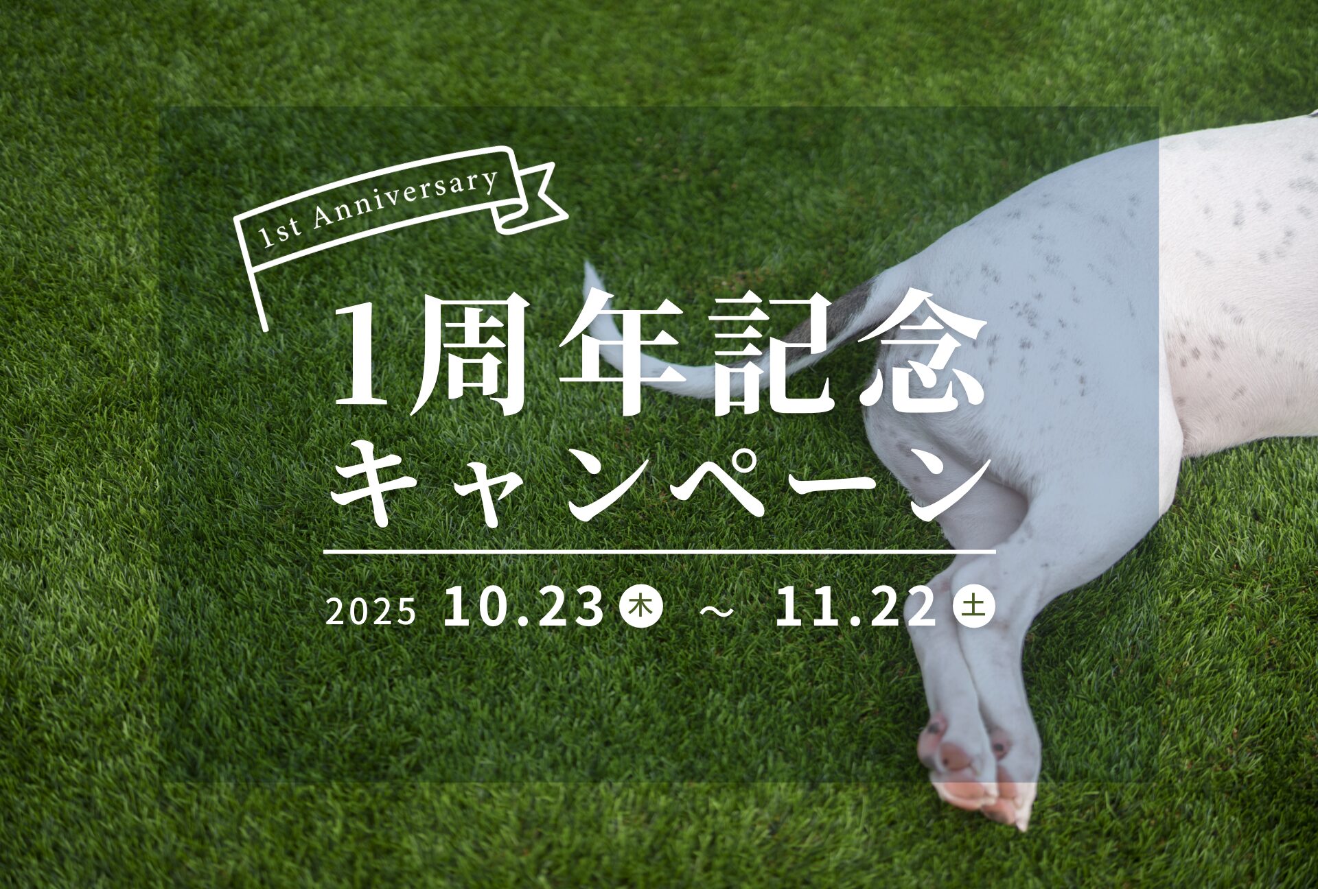 【祝1周年】ドッグホテル白浜 オープン1周年記念キャンペーンのお知らせ