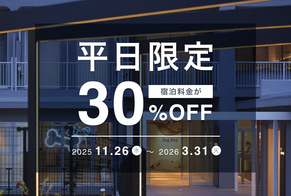 【平日限定】公式サイト予約で30％OFF！愛犬との贅沢な休日を南紀白浜で