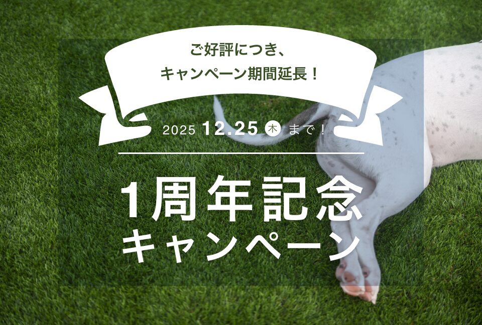 【好評につき延長決定!】1周年記念キャンペーン 特典①期間延長のお知らせ