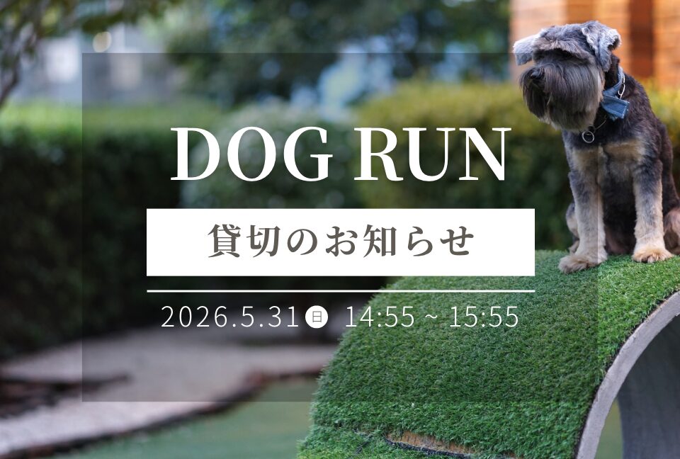 ニュース 画像