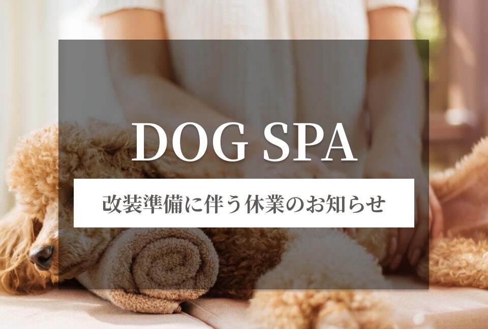 ニュース 画像