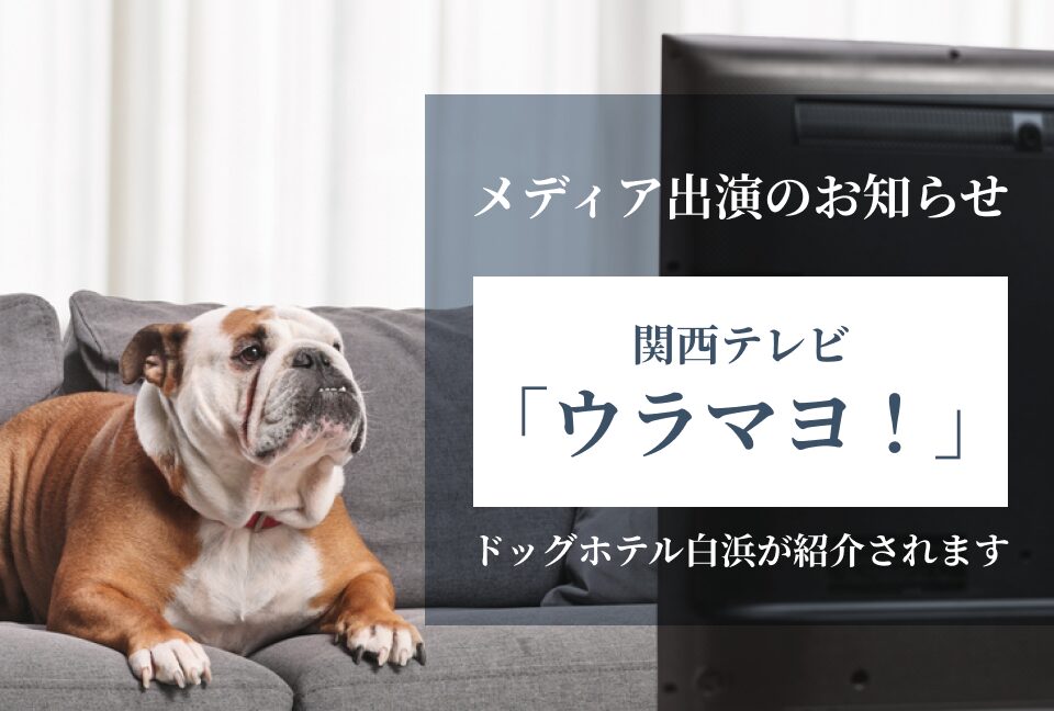ニュース 画像