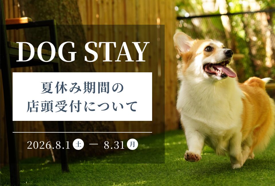 ニュース 画像
