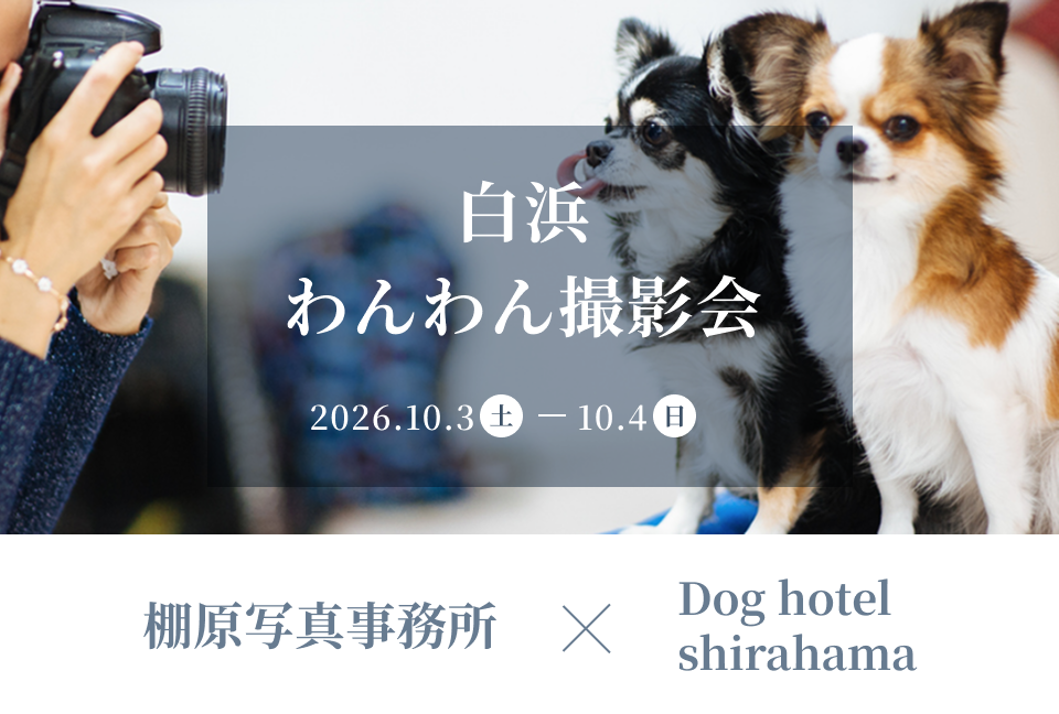 ニュース 画像